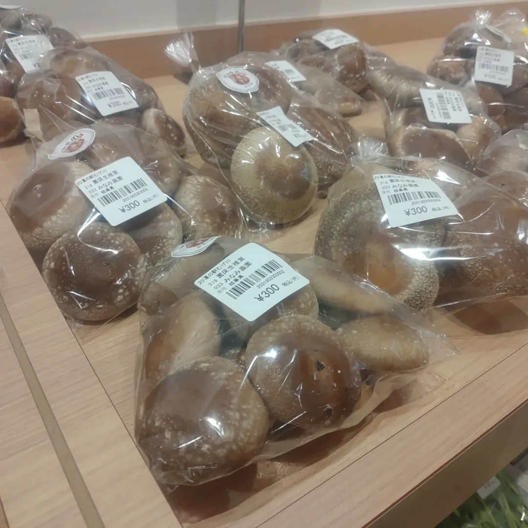 関市道の駅むげ川　しいたけ