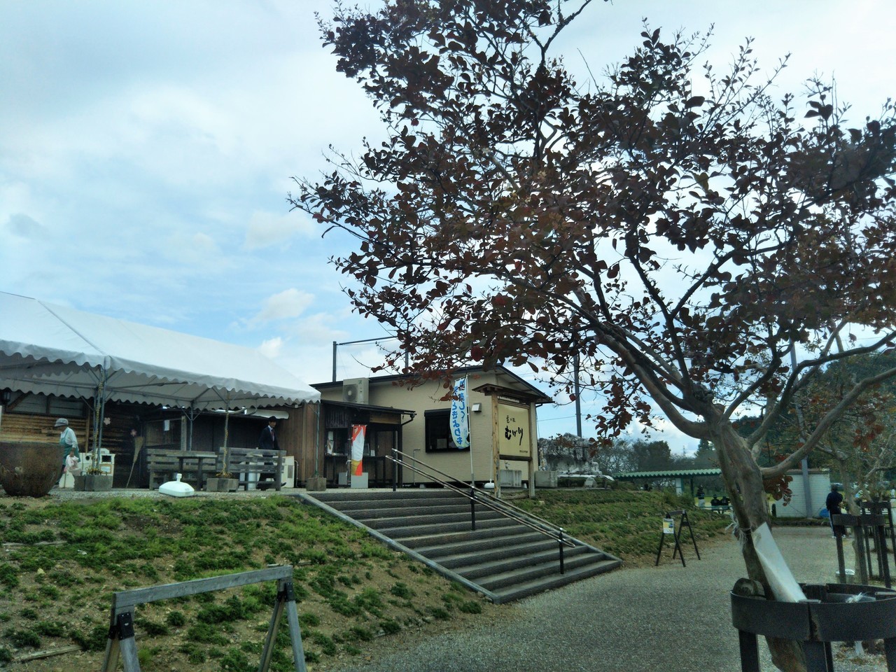 岐阜県関市　道の駅むげ川　サルスベリの木