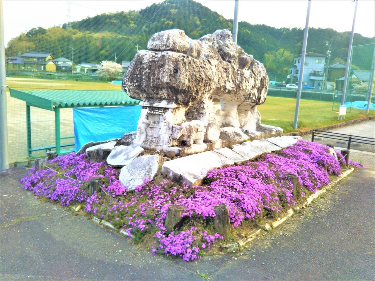 燦々桜樹の像、南ふれあいの広場公園と芝桜