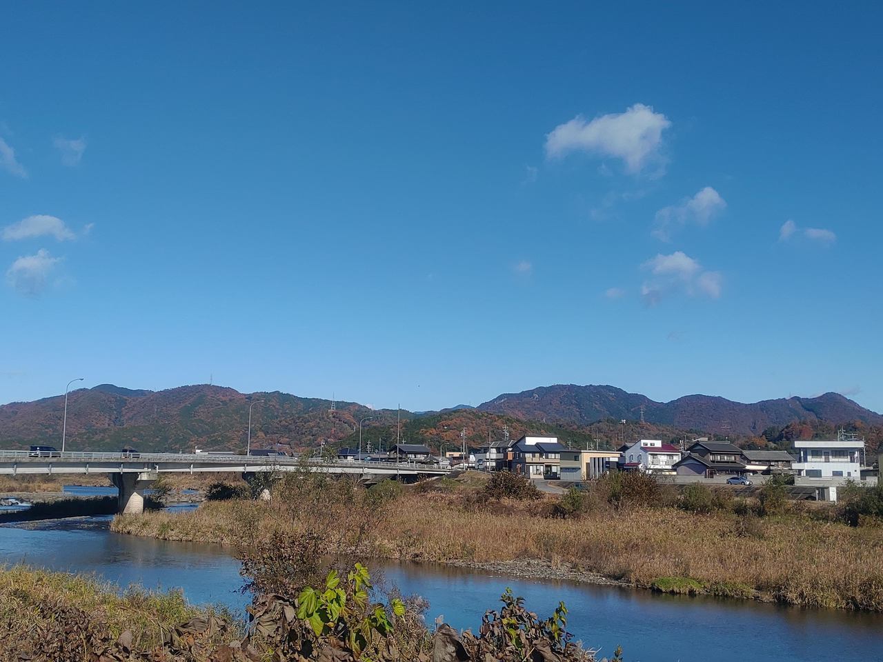 武儀川