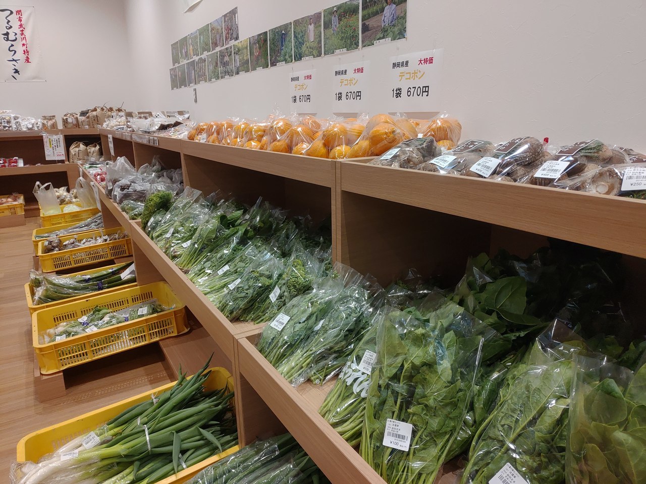 岐阜県関市武芸川町の野菜、果物