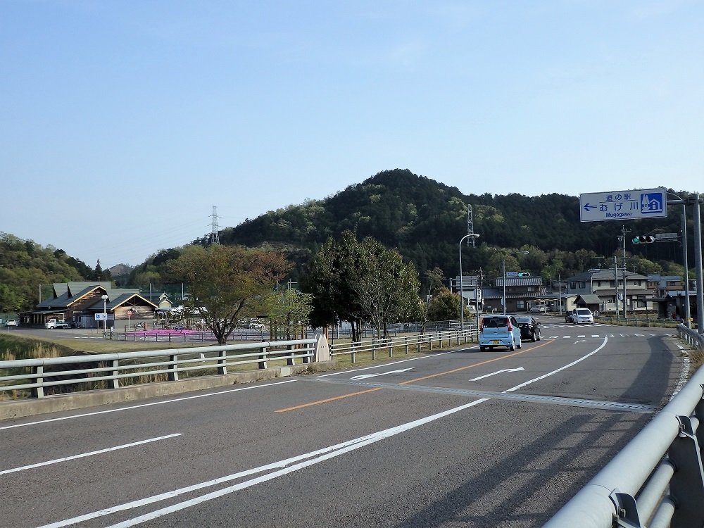 道の駅むげ川　南武芸橋からの風景