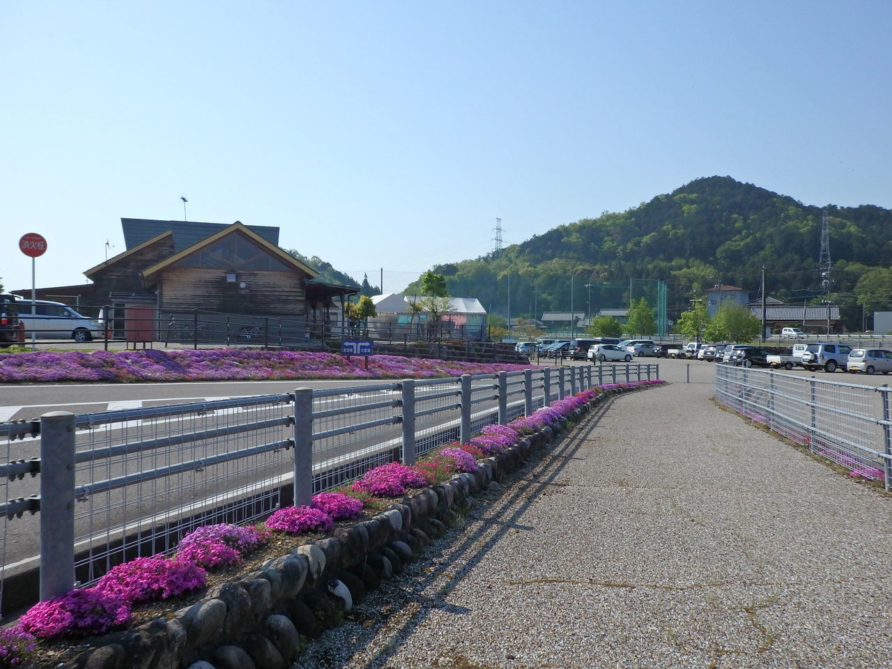 岐阜県関市　道の駅むげ川　芝桜