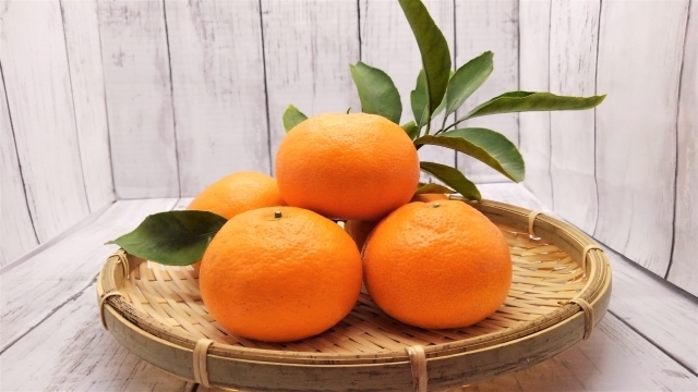 年末年始休業・初売りのおしらせ