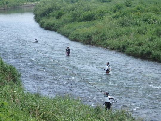 バーベキューに釣り 花火 お盆休みは武芸川でエンジョイしよう 道の駅むげ川 公式サイト
